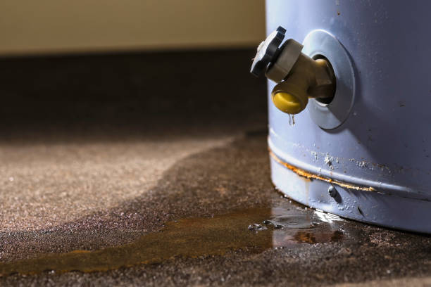 Best 24/7 water damage repair  in Chester, IL