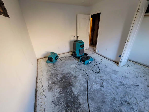 Best Basement water damage restoration  in Chester, IL