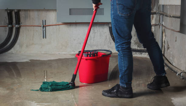 Best Flooded house restoration  in Chester, IL