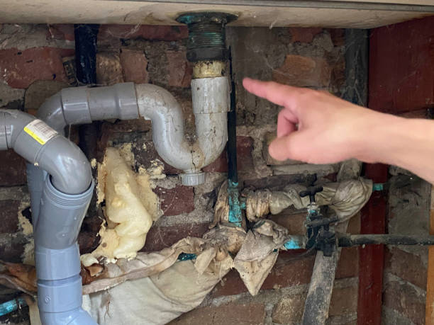 Best Flood damage cleanup  in Chester, IL